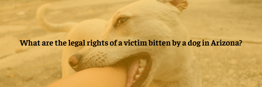 What are the legal rights of a victim bitten by a dog in Scottsdale?