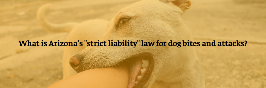 What is Arizona's "strict liability" law for dog bites and attacks?